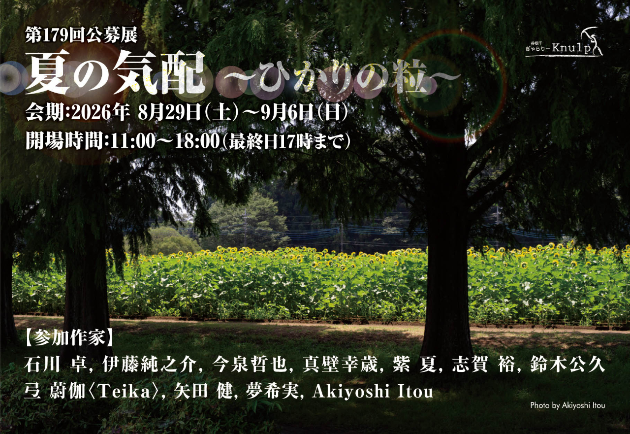 展示5