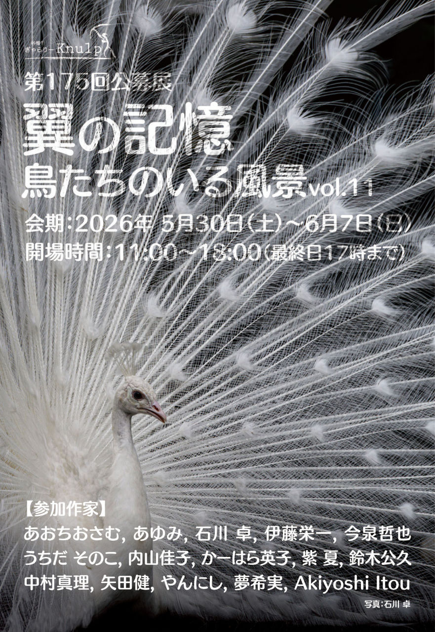 展示5